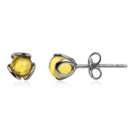 Butterscotch Bernstein Sterling Silber Rund Ohrstecker