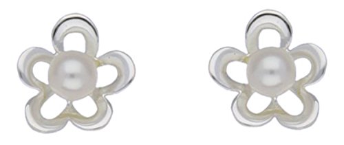 Damen-Ohrring Sterling-Silber 925 E10952