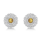 Just Jo Topas Citrin und Ohrringe Ohrstecker Circle Sterling-Silber 925 Rhodium veredelt